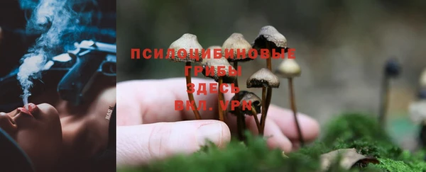 COCAINE Верхний Тагил