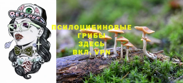 MESCALINE Верея
