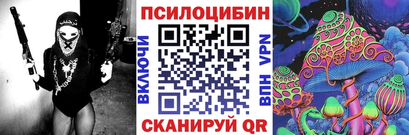 Купить закладки  Мезень  Галлюциногенные грибы мухоморы 